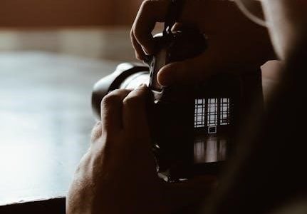 nikon d3300 camera manual
